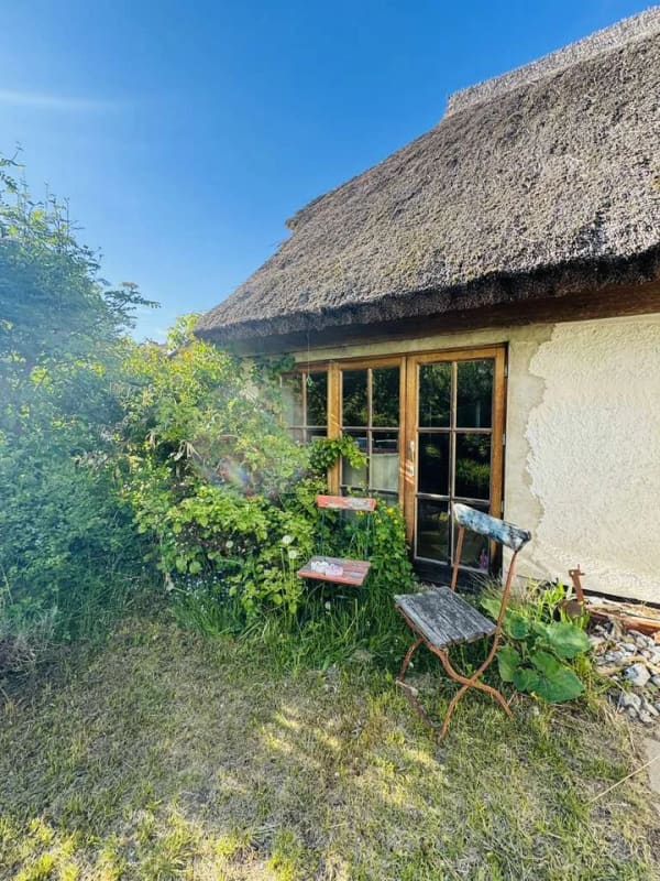Immobilie in Gingst - Gemütliches, reetgedecktes Bauernhaus | ein Angebot von alteshaus.com - Bild 3