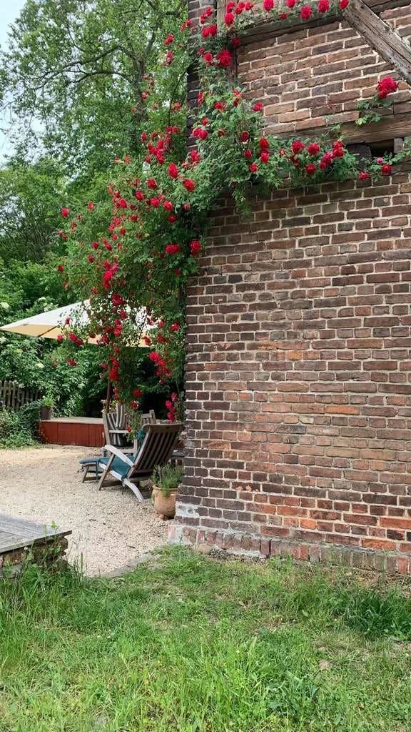 Immobilie in Buckautal - Das ehemalige Mühlenverwalterhaus von Bücknitz | ein Angebot von alteshaus.com - Bild 3