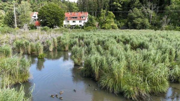 Immobilie in Jestetten - Zwei Häuser, ein besonderes Zuhause – großzügiges Wohnen mit Naturblick an der Schweizer Grenze - Bild 1