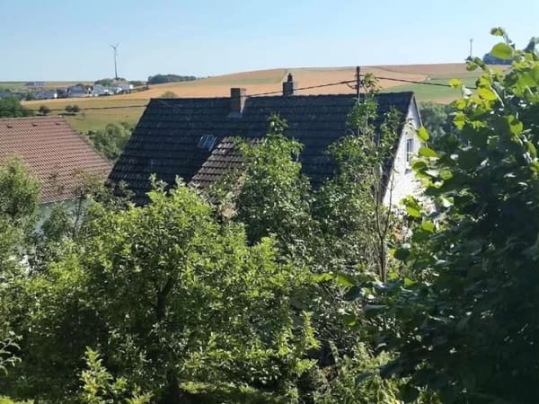Immobilie in Flacht - ---Natur pur - Einfamilienhaus mit großem Hanggrundstück in schöner Ortsrandlage--- - Bild 1