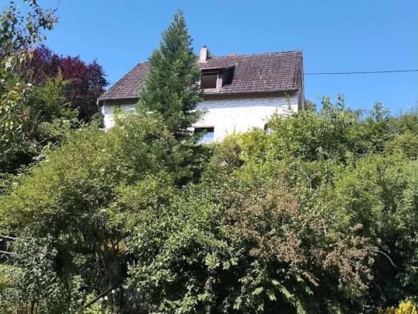 Immobilie in Flacht - ---Natur pur - Einfamilienhaus mit großem Hanggrundstück in schöner Ortsrandlage--- - Bild 2