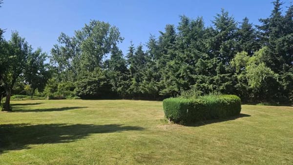 Immobilie in Groß Kiesow - Bauernhaus mit großem Grundstück - Bild 2