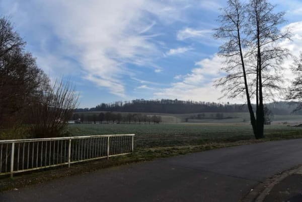 Immobilie in Ranstadt - KÄUFERPROVISIONSFREI! Hochparterre-Wohnung (4 ZKB) mit Gartenanteil, Loggia und Garage. Randlage! - Bild 3