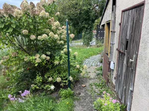 Immobilie in Schlangen - Keine Provision - Modernisiertes Einfamilienhaus ruhig gelegen in Schlangen - Bild 3