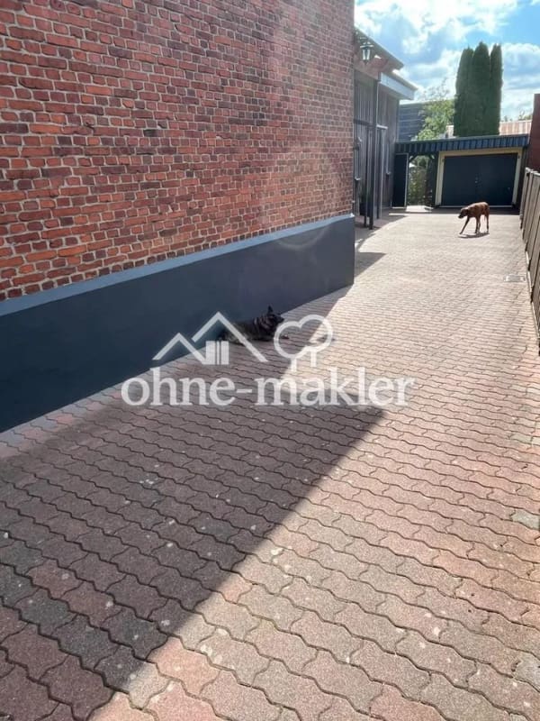Immobilie in Hohenwestedt - Einfamilienhaus freistehend in Hohenwestedt - Bild 4