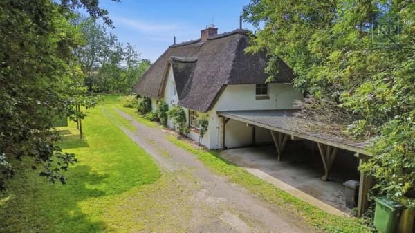 Immobilie in Kirchspiel Garding - Unter Reet: Einmaliges Wohngefühl im Grünen - Bild 0