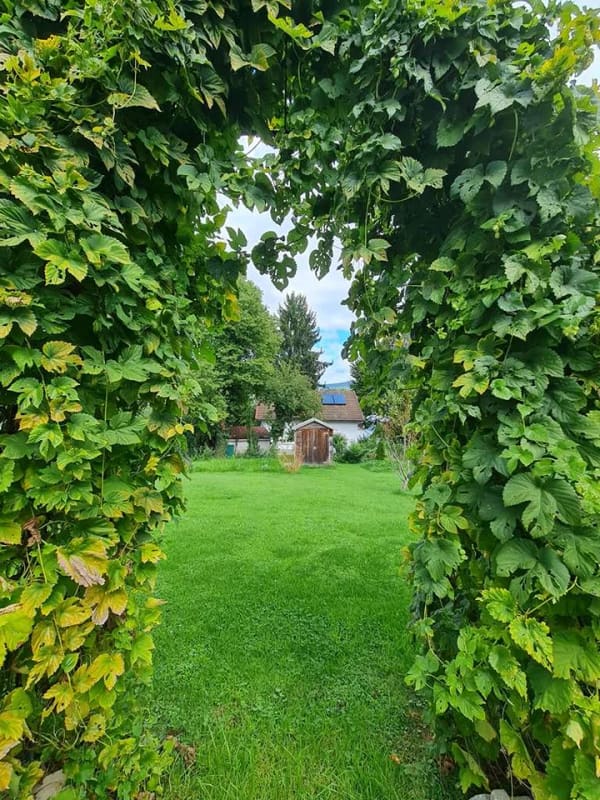 Immobilie in Viechtach - Zuhause ist ein Gefühl !
Familien(t)raum in Viechtach! 
Bezahlbares Haus mit Garage, Garten, uvm. - Bild 2
