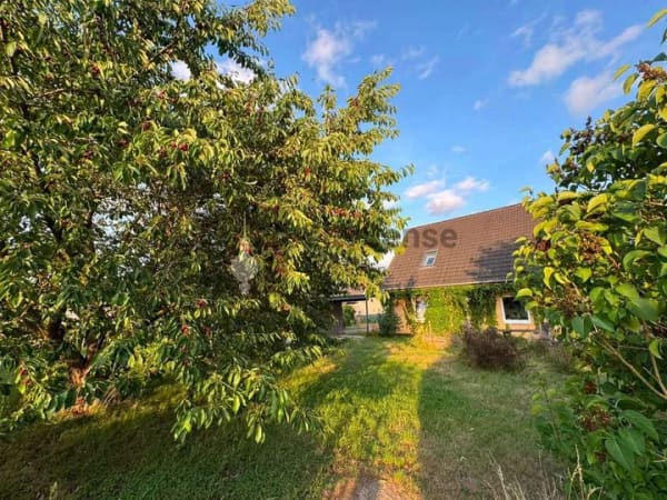 Immobilie in Pritzwalk - Einfamilienhaus mit großem Garten - Bild 1