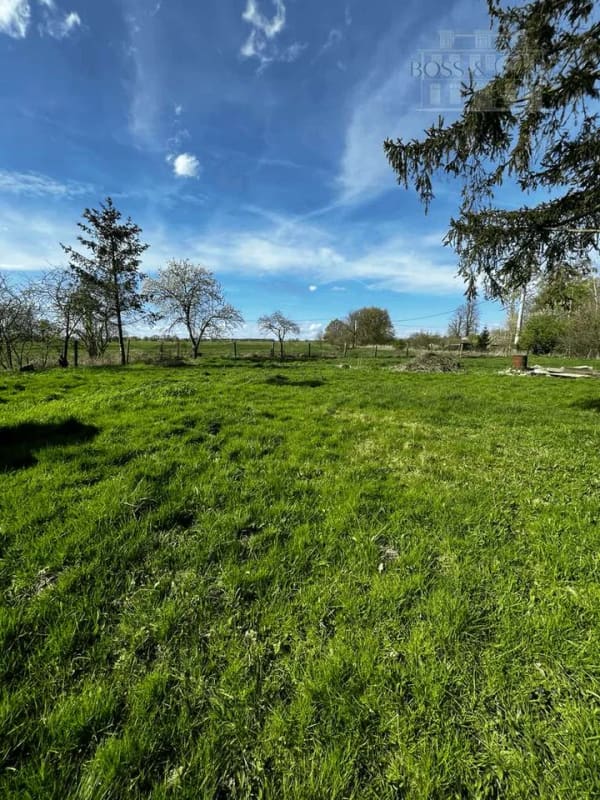 Immobilie in Teldau - Charmantes Landhaus mit großem Potenzial – ein Rückzugsort für Naturliebhaber - Bild 2