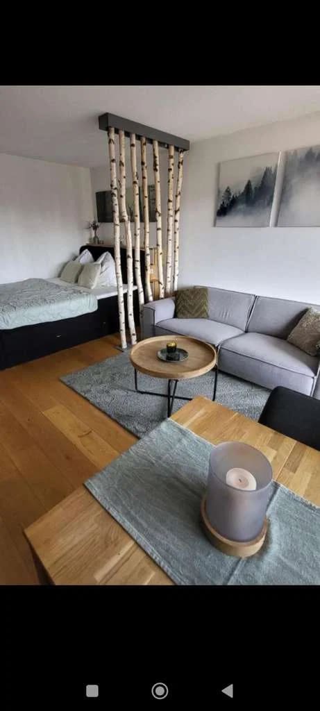 Immobilie in Schönwald im Schwarzwald - Alltagstaugliche 1-Zimmer-Wohnung in Schönwald im Schwarzwald - Bild 0