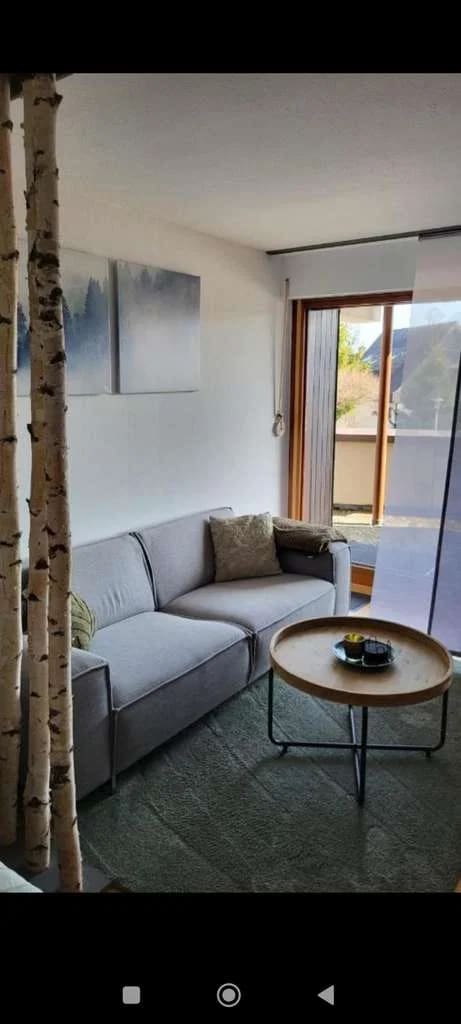 Immobilie in Schönwald im Schwarzwald - Alltagstaugliche 1-Zimmer-Wohnung in Schönwald im Schwarzwald - Bild 1