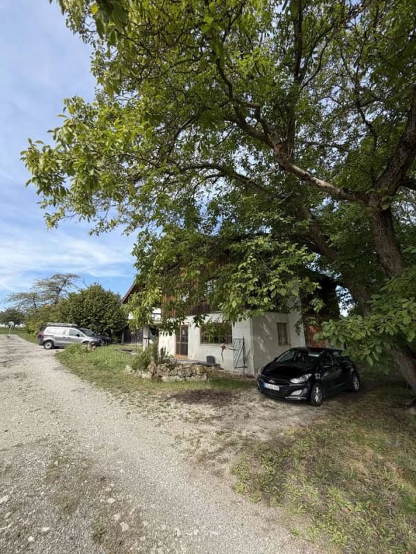 Immobilie in Tann - KHALIL WAKED IMMOBILIEN! Individuelles Anwesen mit Charakter - Galeriehaus, XXL-Werkstatt & 1.457qm - Bild 1
