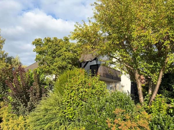 Immobilie in Hamm (Sieg) - Familienfreundliches Einfamilienhaus mit PV-Anlage und moderner Ausstattung - Bild 4