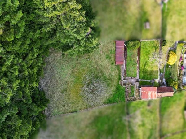 Immobilie in Höfen an der Enz - Für die Familie: Großzügiges Haus mit großem Garten und Doppel-Garage - Bild 4