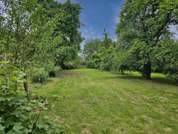 Immobilie in Rankwitz - Ein Stück Geschichte auf Usedom - Repräsentatives Gutshaus mit weitläufigem Anwesen. - Bild 2