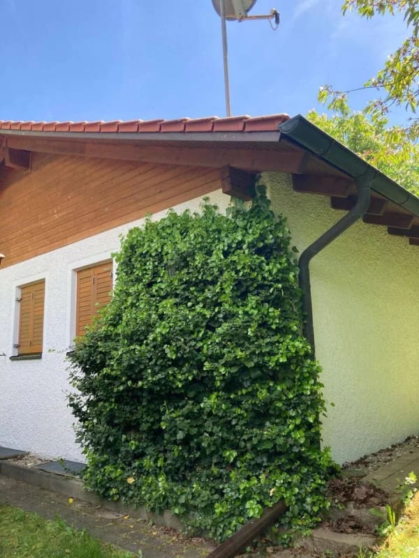 Immobilie in Ammerthal - Gepflegtes Wochenendhaus mit Garten in Ammerthal - Bild 4