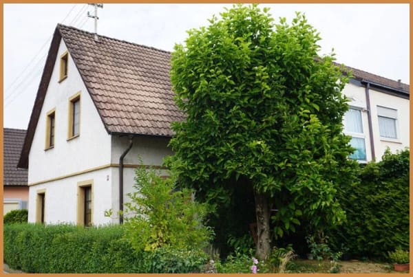 Immobilie in Neuried - Zwei Häuser - zahlreiche Möglichkeiten: Großzügiges Anwesen mit herrlichem Garten und Garagen - Bild 4