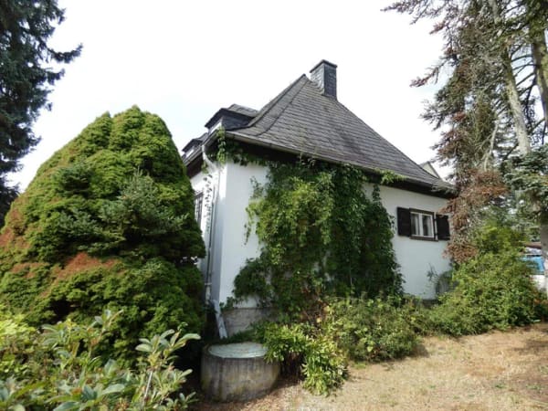Immobilie in Saalburg-Ebersdorf - Leben am Ufer der Bleilochtalsperre - Einfamilienhaus in Saalburg mit direktem Stauseezugang! - Bild 3