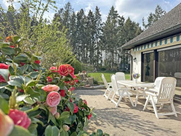 Immobilie in Winsen (Luhe) - Einfamilienhaus freistehend in Winsen (Luhe) - Bild 3