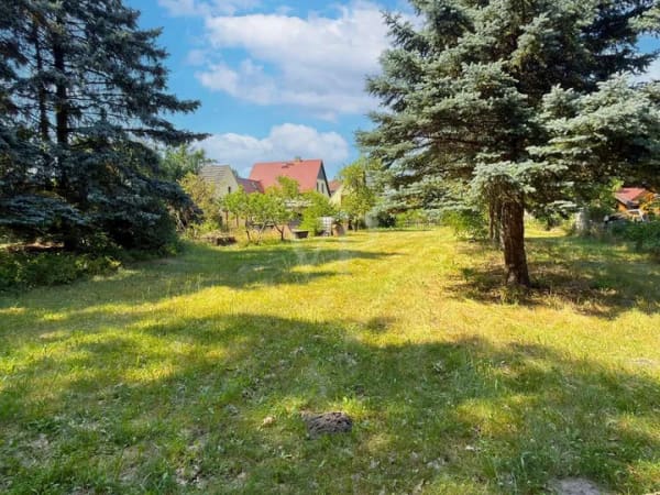 Immobilie in Tettau - Viel Platz für Familie, Garten und Zukunft – Einfamilienhaus mit Potenzial in ruhiger Anliegerstraße - Bild 2