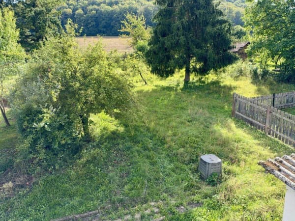 Immobilie in Treffurt - Praktisches Ein-/Zweifamilienhaus mit schönem Grundstück - Bild 3