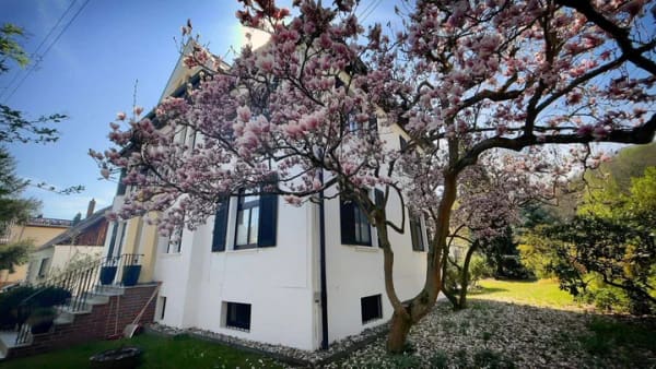 Immobilie in Bad Blankenburg - Exkl. Landhaus (Villa) mit Seele, Charme & Lage ! - Bild 2