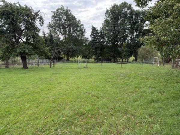 Immobilie in Wermsdorf - Leben auf dem Land: Charmanter Bauernhof mit großem Grundstück in der Gemeinde Wermsdorf - Bild 1