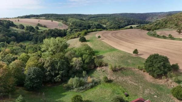 Immobilie in Burgsponheim - Wohnen mit Weitblick – großzügiges Zuhause mit Einliegerwohnung und offenem Sichtdachstuhl - Bild 2