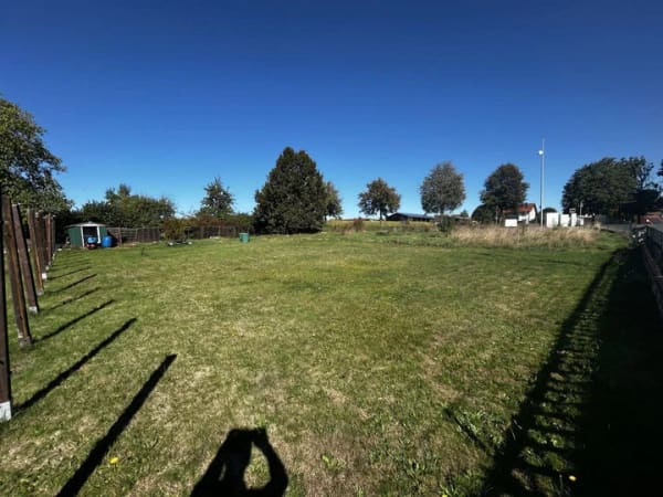 Immobilie in Freihung - Stadtvilla in Freihung mit 8 Zimmern und moderner Wärmepumpe - Bild 3