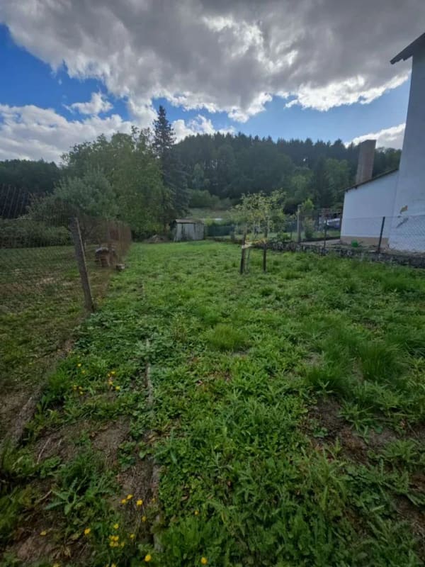 Immobilie in Raumbach - Modernisiertes Einfamiienhaus mit großer Scheune - Bild 4