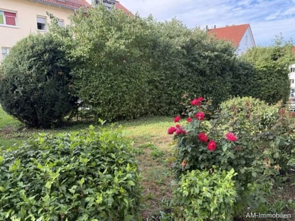 Immobilie in Überlingen - Genial zentral, ruhig und sonnig Wohnen! 3-Zimmer-Hochparterre-ETW mit großem Balkon! - Bild 2