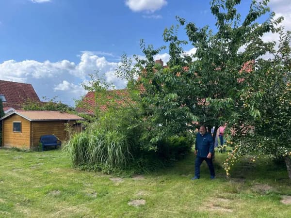 Immobilie in Barkelsby - Zuhause mit viel Platz in Barkelsby - Bild 2