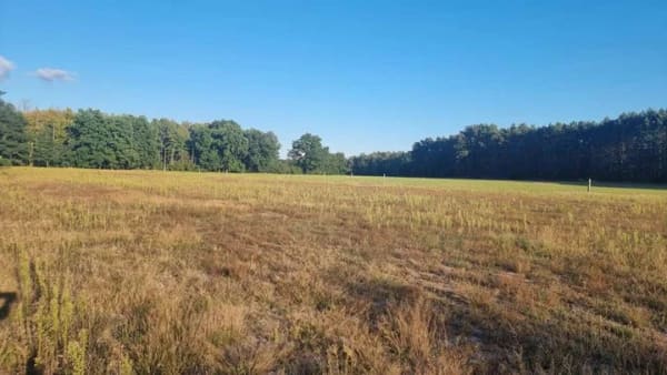 Immobilie in Storkow (Mark) - Ihr privates Naturparadies in Görsdorf – Wo Freiheit, Ruhe und Pferdeglück zu Hause sind - Bild 0