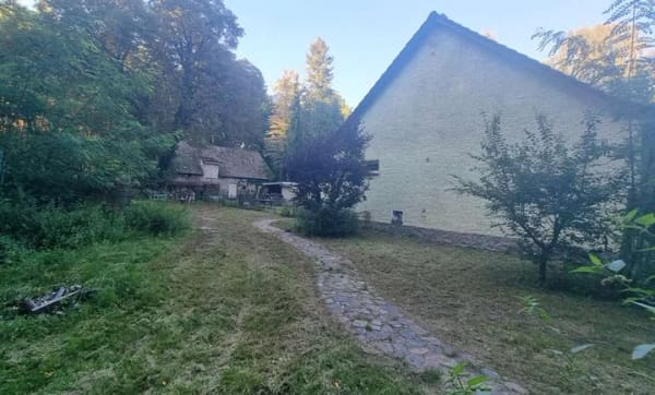 Immobilie in Storkow (Mark) - Ihr privates Naturparadies in Görsdorf – Wo Freiheit, Ruhe und Pferdeglück zu Hause sind - Bild 2