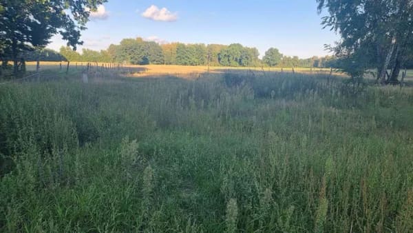 Immobilie in Storkow (Mark) - Ihr privates Naturparadies in Görsdorf – Wo Freiheit, Ruhe und Pferdeglück zu Hause sind - Bild 4