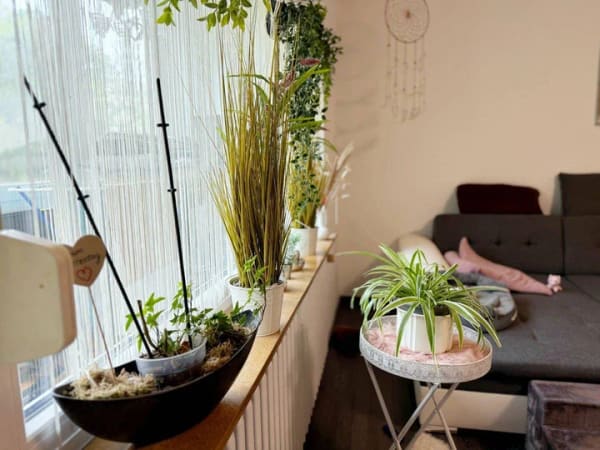 Immobilie in Melsungen - Moderne 4 ZKB Eigentumswohnung in ruhiger Waldrandlage mit wunderschönem Fernblick über Melsungen. - Bild 2