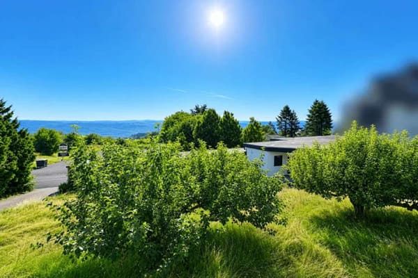 Immobilie in Greifenstein - Projektentwicklung mit Weitblick - ehemalige Pension zur Umnutzung in attraktives Mehrfamilienhaus! - Bild 0