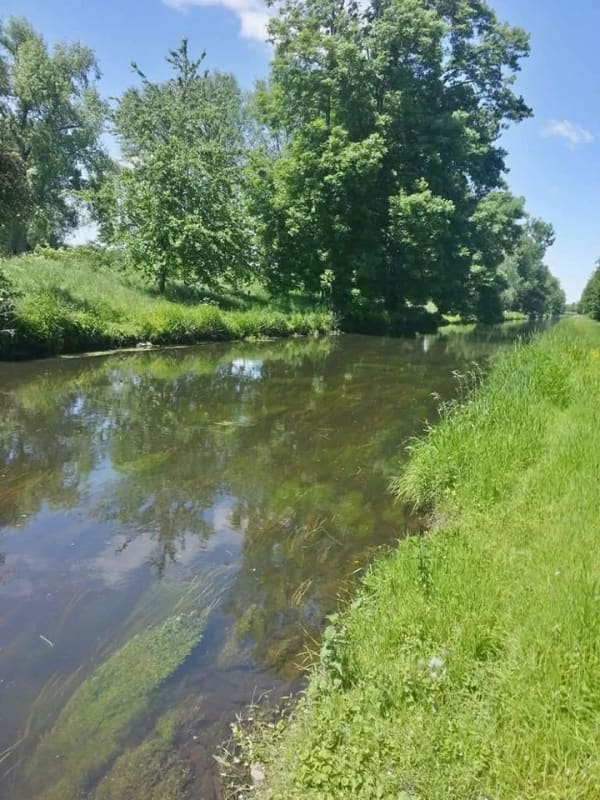 Immobilie in Willich - Doppelhaushälfte an der Niers mit Potential und viel Platz - Bild 1