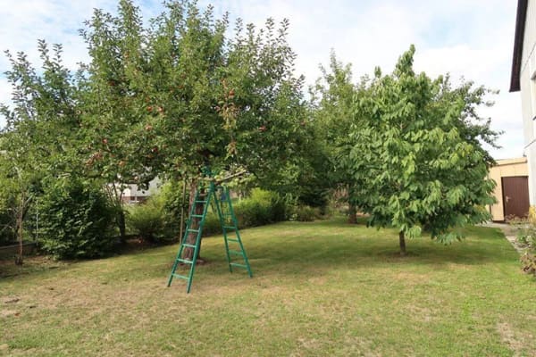 Immobilie in Gerzen - Zweifamilienhaus mit Obstgarten, zum Herrichten, Gerzen - Bild 4