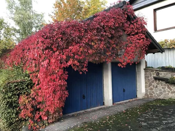 Immobilie in Wassenach - Zweifamilienhaus / Wassenach/ grüne Oase / Raumwunder / Kinder (-betreuungs) Paradies von 1-10 Jahre - Bild 2
