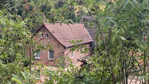Immobilie in Roßleben-Wiehe - Gepflegtes Einfamilienhaus mit Scheune & Nebengebäude, großes Grundstück mit bis zu 3.984 qm - Bild 1