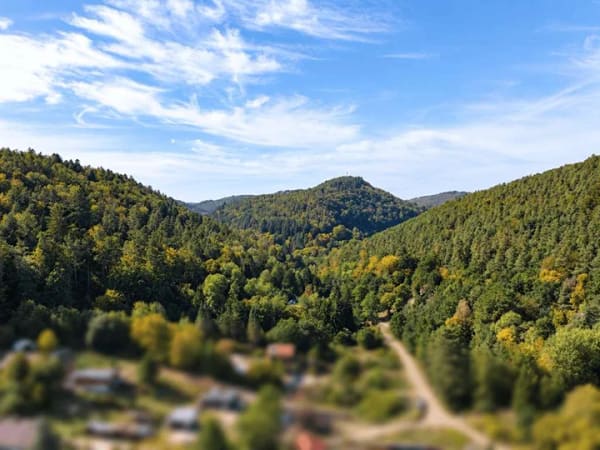 Immobilie in Frankenstein - Naturidylle im Schliertal – charmantes Wochenendhaus auf ca. 1.762 m² - Bild 2