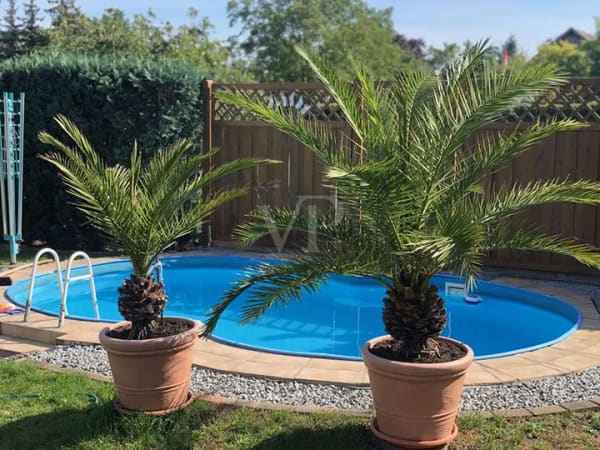 Immobilie in Teichland - Komfortables Zweifamilienhaus mit großzügigem Platzangebot nahe dem Cottbuser Ostsee - Bild 3