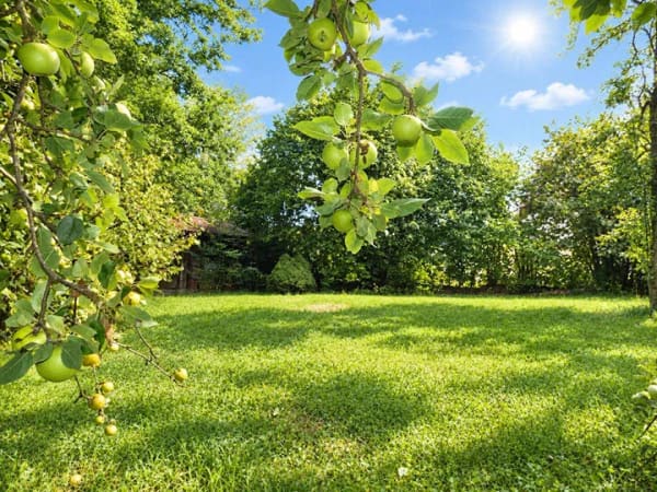 Immobilie in Bissingen - Natur und Moderne: hier haben Sie beides! - Bild 3
