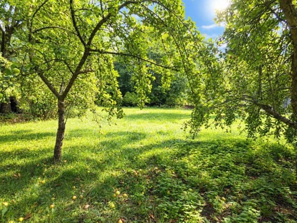 Immobilie in Bissingen - Natur und Moderne: hier haben Sie beides! - Bild 4
