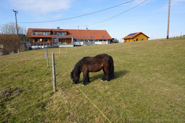Immobilie in Maierhöfen - Geniale top renovierte außergewöhnliche 2 bis 3 Zimmer EG-Wohnung  im Westallgäu zur vielseitigen Verwendung - Bild 4