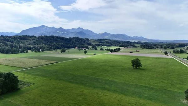 Immobilie in Übersee - Großzügige 4-Zimmer-Wohnung mit mit Bergblick, Kamin und eigenem Garten - Bild 2