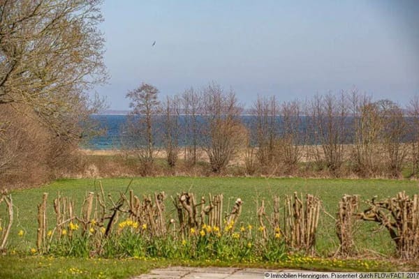 Immobilie in Steinberg - Ostsee-Investment: 4-Familienhaus am Meer-sehr ruhige Sackgasse ! - Bild 4