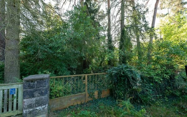 Immobilie in Wandlitz - Heinze-Immobilien(IVD): Sanierungsobjekt auf Waldgrundstück in Wandlitz-Stolzenhagen - Bild 1
