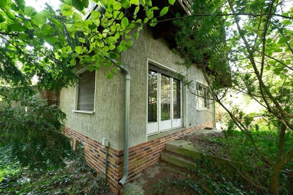 Immobilie in Wandlitz - Heinze-Immobilien(IVD): Sanierungsobjekt auf Waldgrundstück in Wandlitz-Stolzenhagen - Bild 3